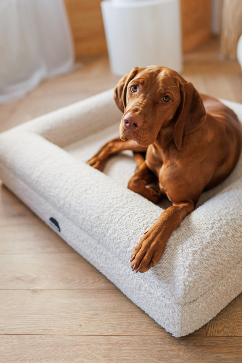 Fotografia produktowa dla branży zoologicznej