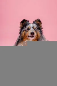 BUBA sesja maj 2024 4266