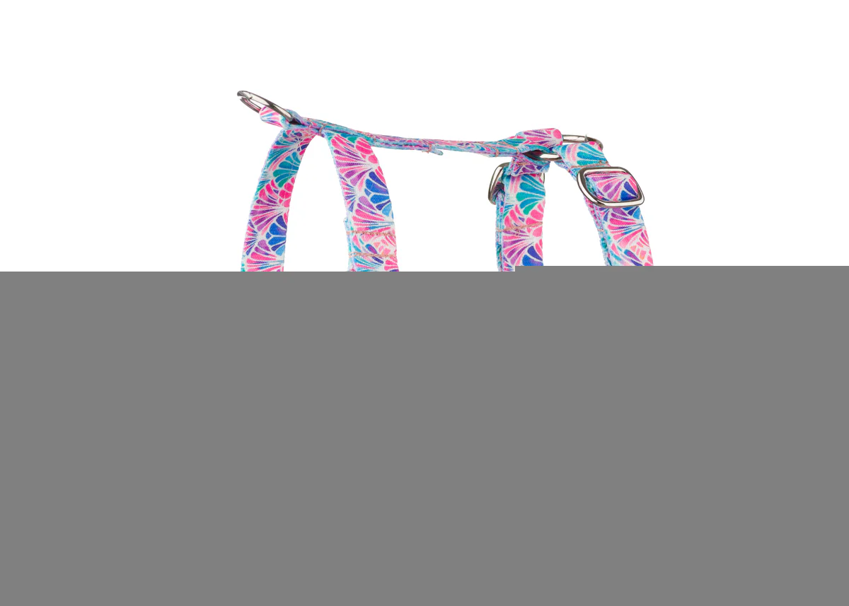 fotografia dla branży zoologicznej zdjęcia produktowe packshot