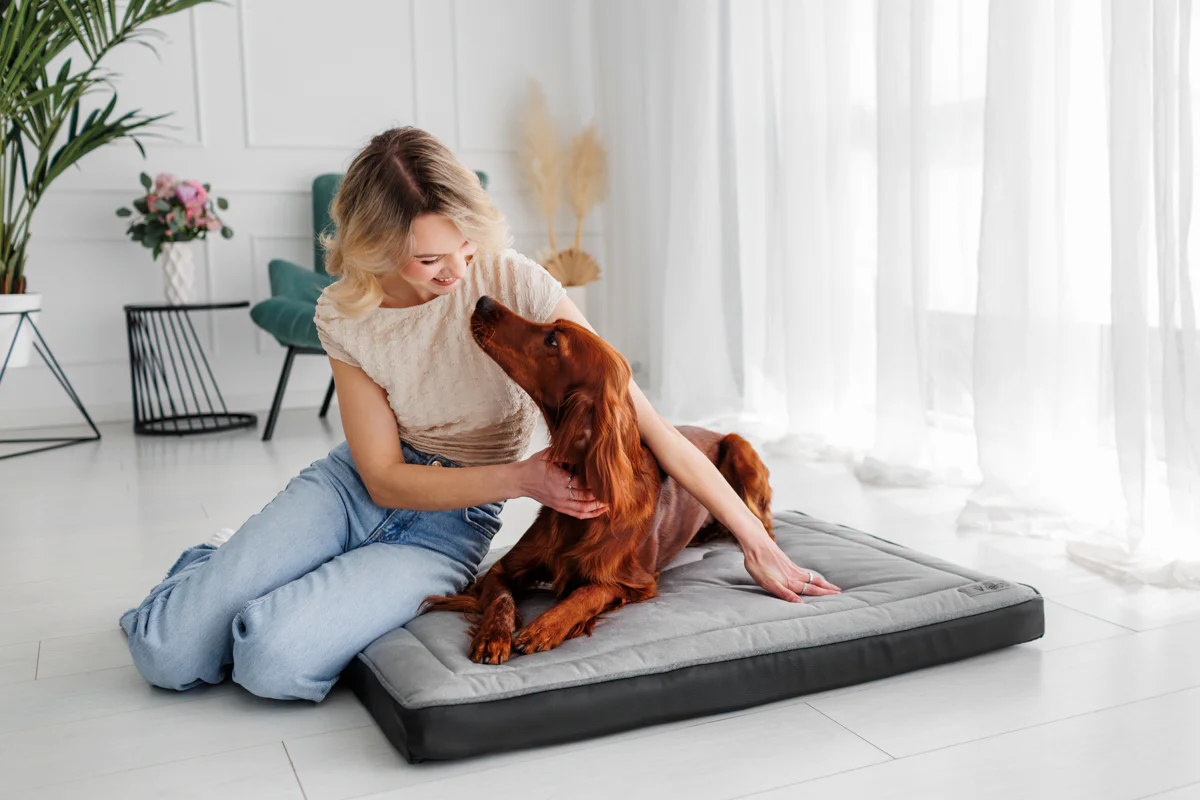 fotografia dla branży zoologicznej