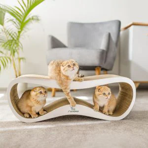 fotografia dla branży zoologicznej 3