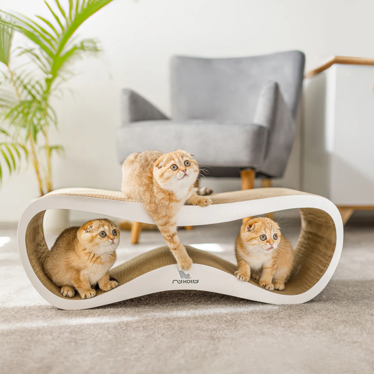 fotografia dla branży zoologicznej 3