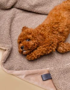 Sesja jesienna Lillabel WEB 7 of 39