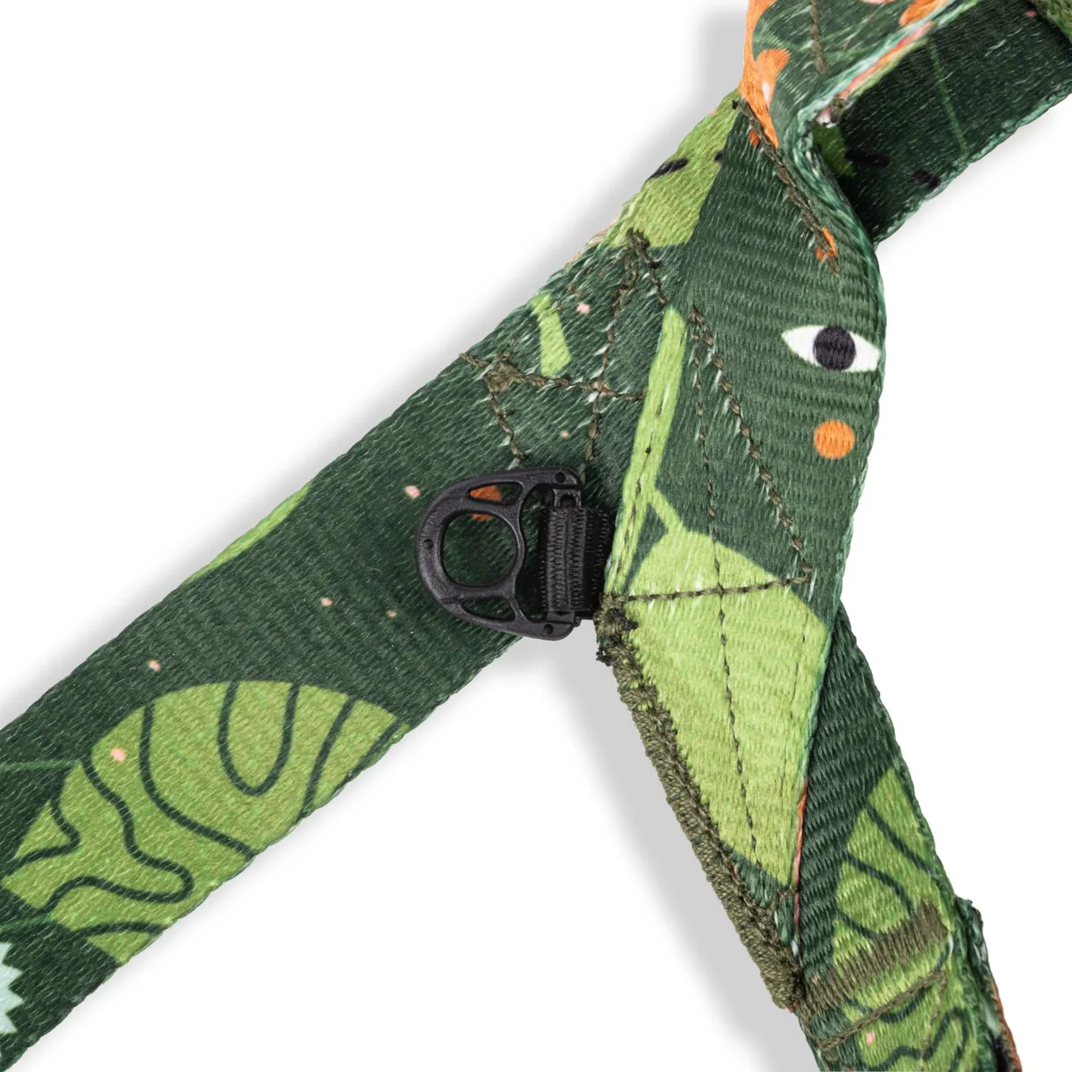 Zdjęcie produktowe reklamowe dla branży zoologicznej zwierzęcej fotografia zwierząt rzeszów krakow warszawa038 wynik