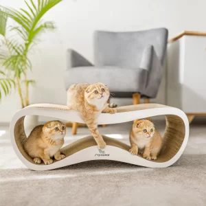 Zdjęcie produktowe reklamowe dla branży zoologicznej zwierzęcej fotografia zwierząt rzeszów krakow warszawa112 wynik