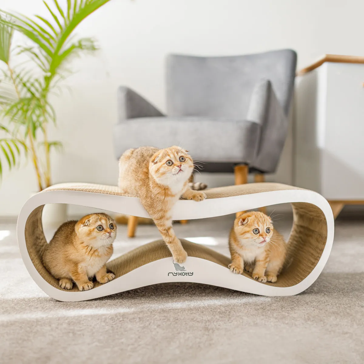 Zdjęcie produktowe reklamowe dla branży zoologicznej zwierzęcej fotografia zwierząt rzeszów krakow warszawa112 wynik
