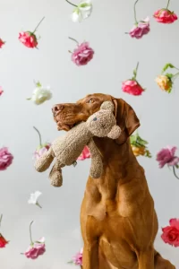 fotografia produktowa ecommerce packshot zdjecia produktowe 001 wynik