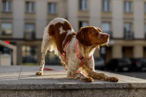 fotografia produktowa ecommerce packshot zdjecia produktowe 026 wynik