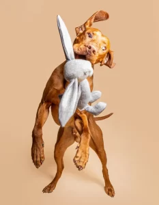 fotografia produktowa ecommerce packshot zdjecia produktowe 028 wynik