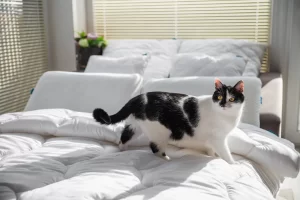 fotografia poscieli i tekstyliow fotografia produktowa ecommerce 006