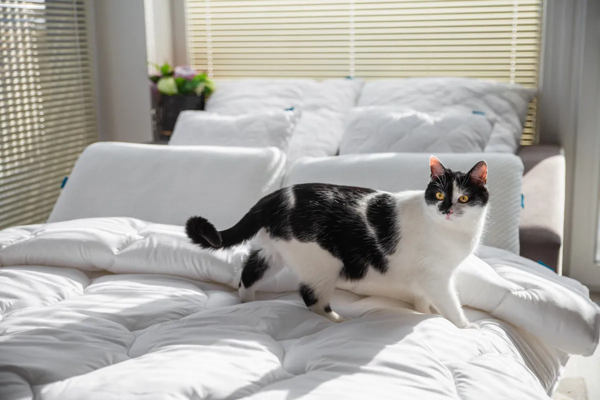 fotografia poscieli i tekstyliow fotografia produktowa ecommerce 006